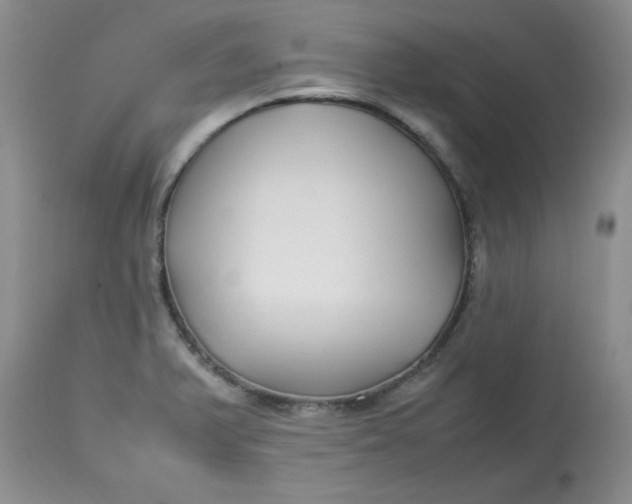 X0000112791375200909111201