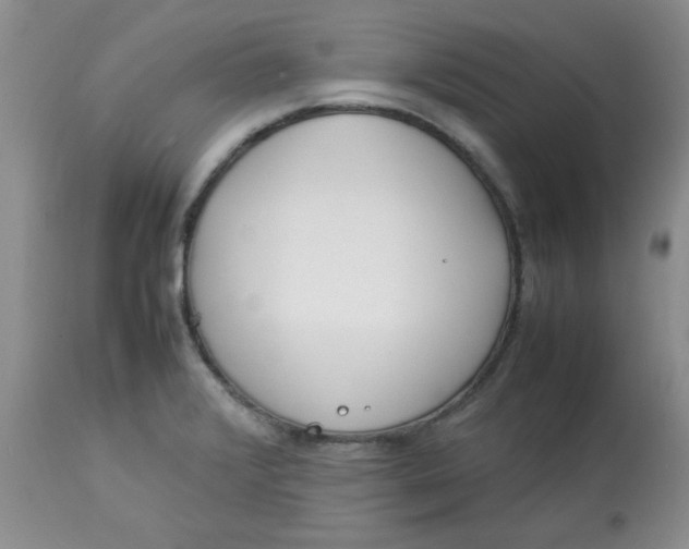 X0000112791376200909111201