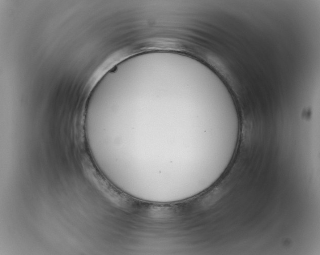 X0000112791378200909111201