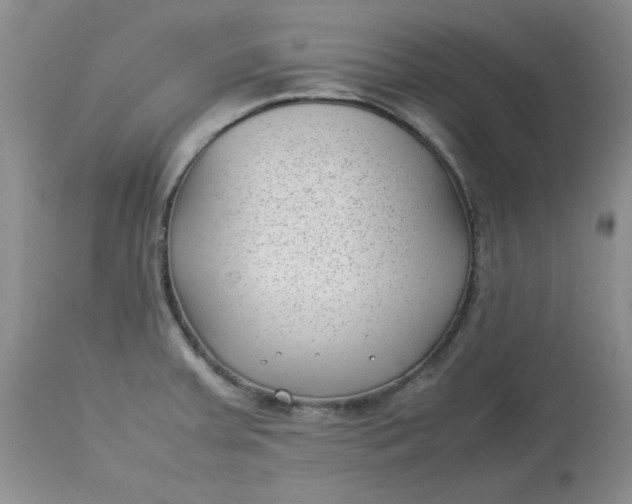 X0000112791379200909111201