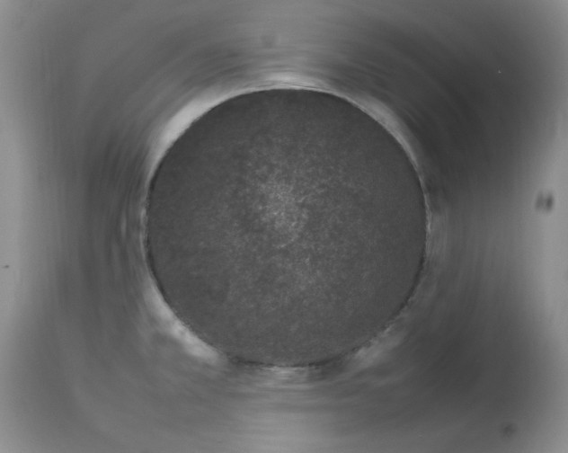 X0000112791381200909111201