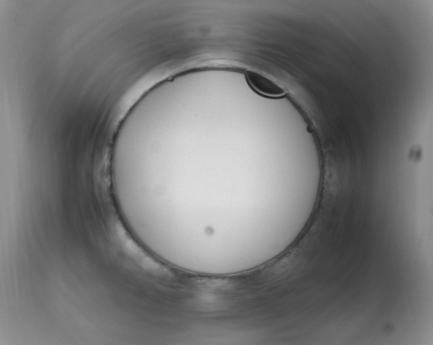 X0000112791382200909111201