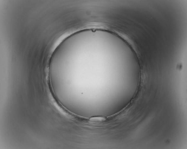 X0000112791383200909111201