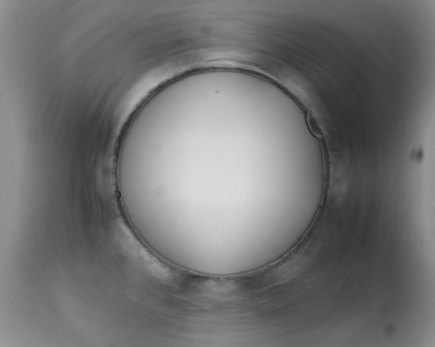 X0000112791384200909111201