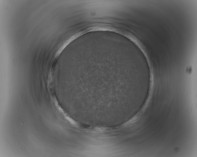 X0000112791385200909111201