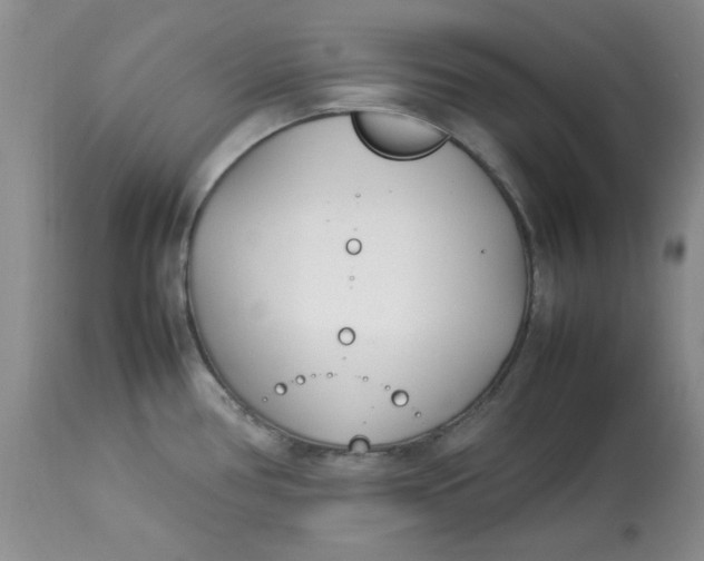 X0000112791386200909111201