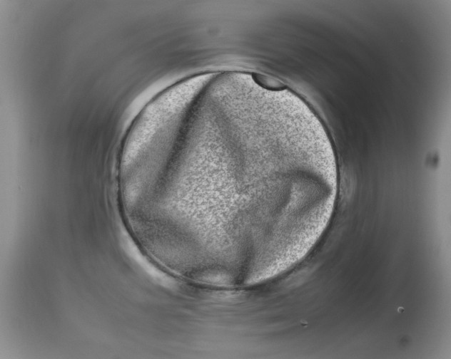 X0000112791387200909111201