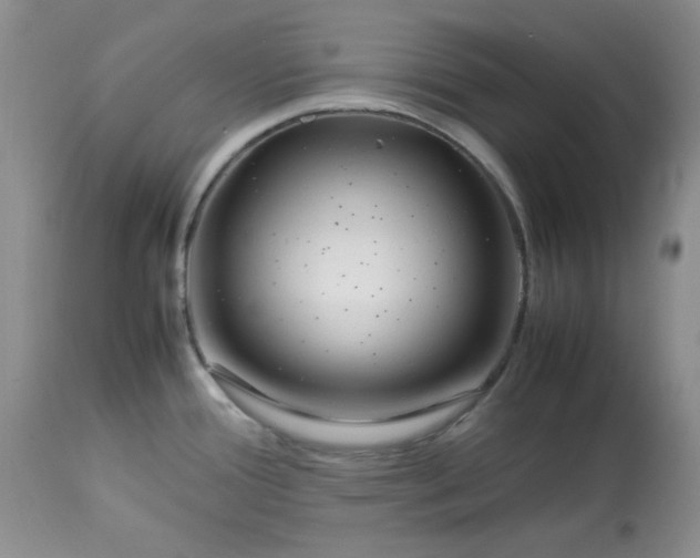 X0000112791388200909111201