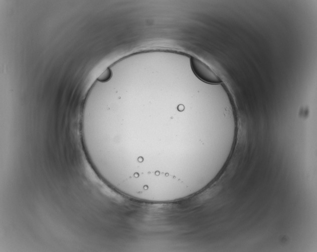 X0000112791390200909111201