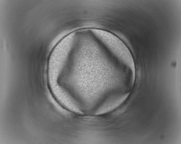 X0000112791391200909111201