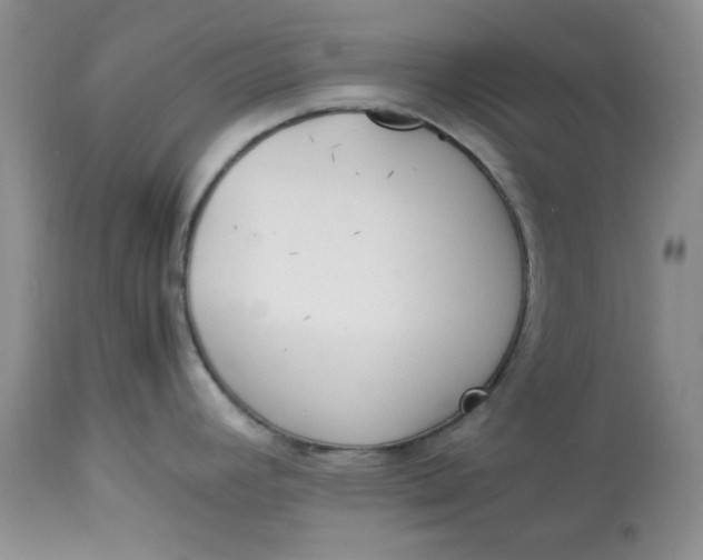 X0000112791392200909111201