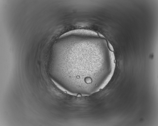 X0000112791393200909111200