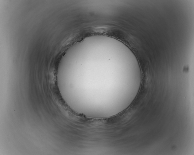 X0000112791394200909111200