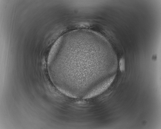 X0000112791395200909111200