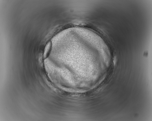 X0000112791396200909111200