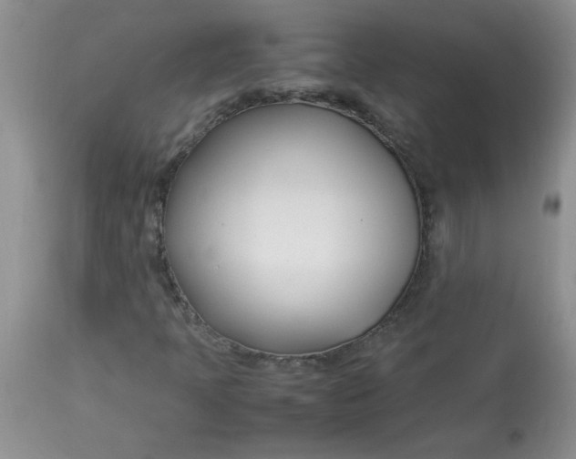 X0000112791397200909111200