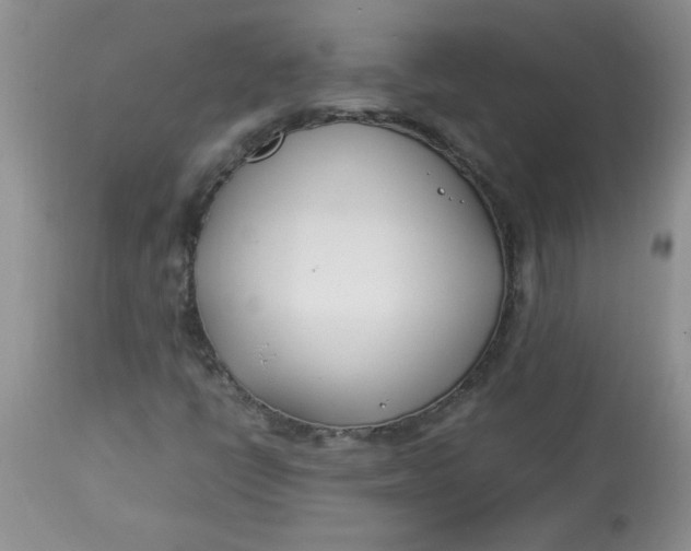 X0000112791398200909111200