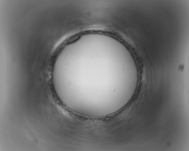 X0000112791400200909111201