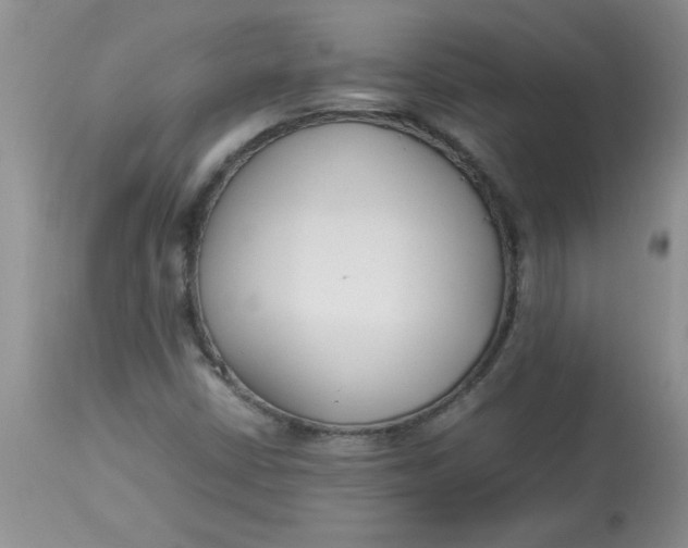 X0000112791402200909111201