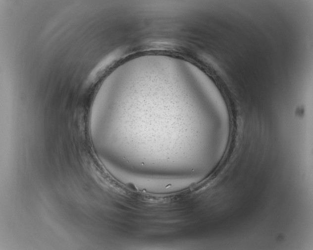 X0000112791403200909111201