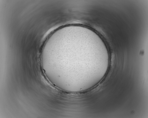 X0000112791404200909111201