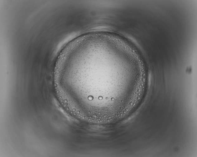 X0000112791405200909111201