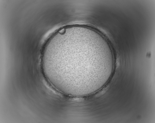 X0000112791406200909111201