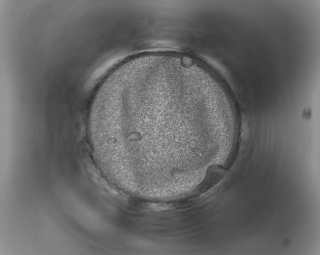 X0000112791407200909111201