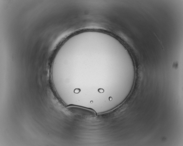 X0000112791408200909111201