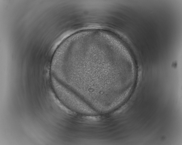 X0000112791409200909111201