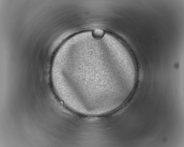 X0000112791410200909111201