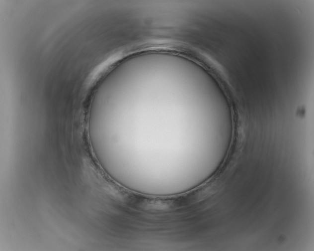 X0000112791411200909111201