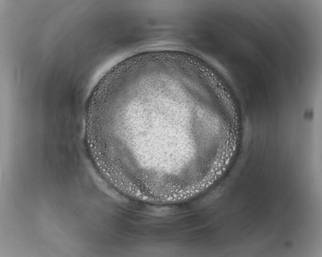 X0000112791413200909111201