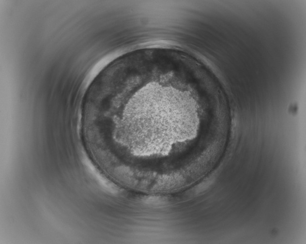 X0000112791418200909111201