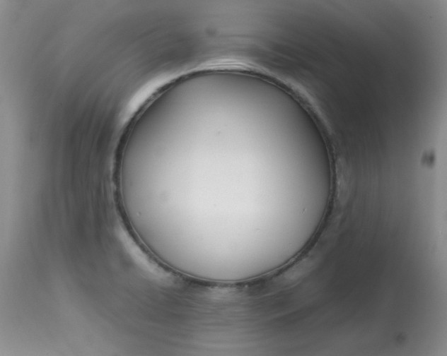 X0000112791422200909111201