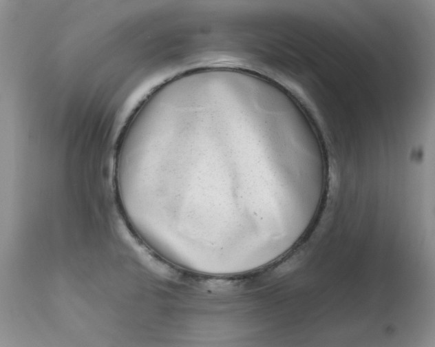 X0000112791424200909111201