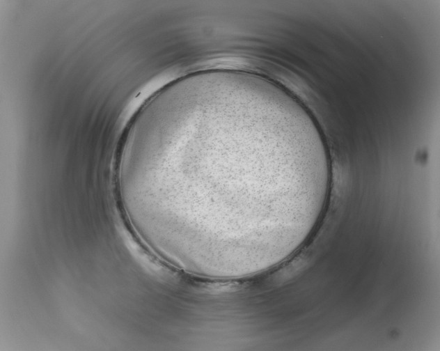 X0000112791426200909111201