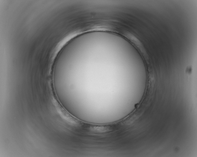 X0000112791427200909111201