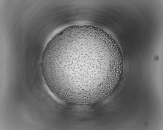 X0000112791429200909111201