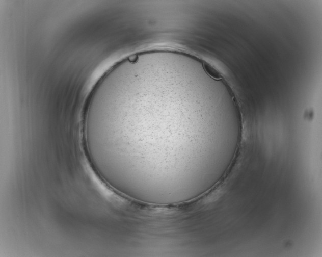 X0000112791430200909111201