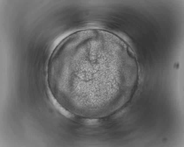 X0000112791431200909111201