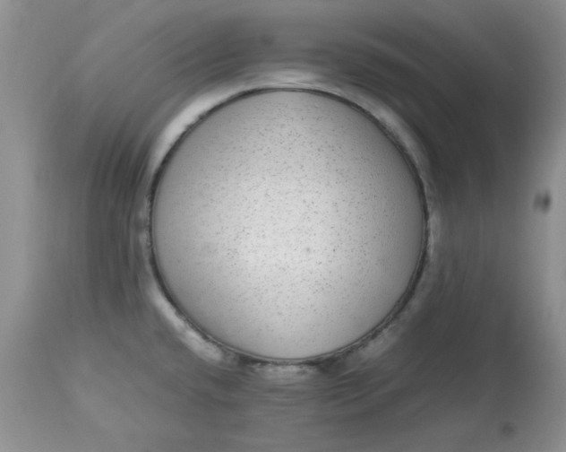 X0000112791432200909111201