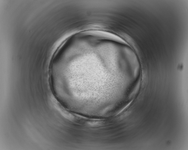 X0000112791435200909111201