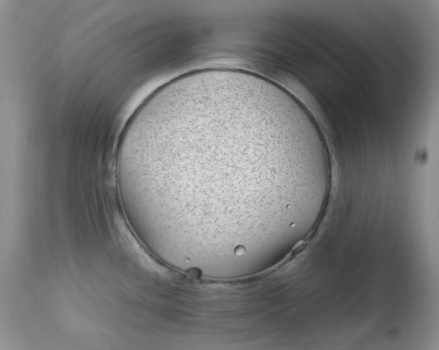 X0000112791436200909111201