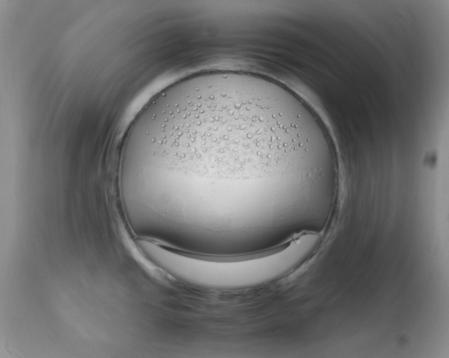 X0000112791437200909111201