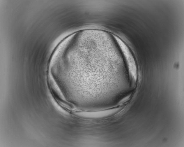 X0000112791438200909111201