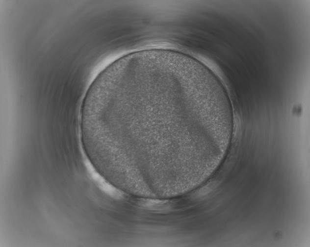 X0000112791439200909111201