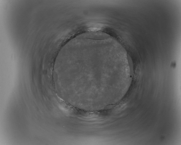 X0000112791441200909111200