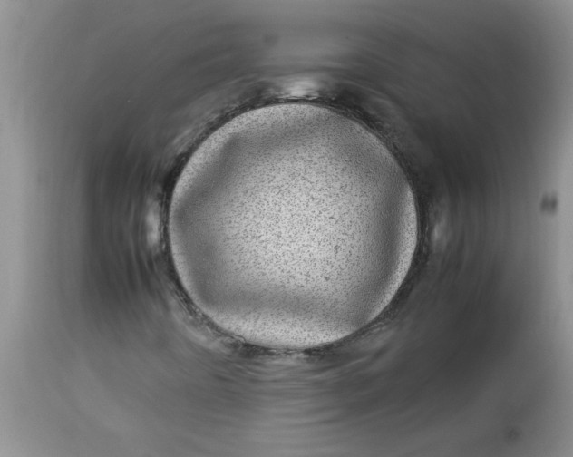 X0000112791442200909111200