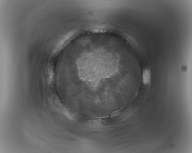 X0000112791444200909111200